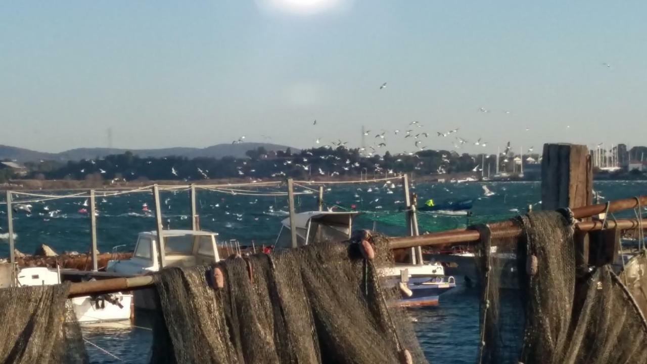 La Cabane D'Isa Sète Esterno foto